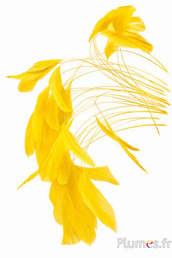 Coquetip - 20-25 cm - giallo